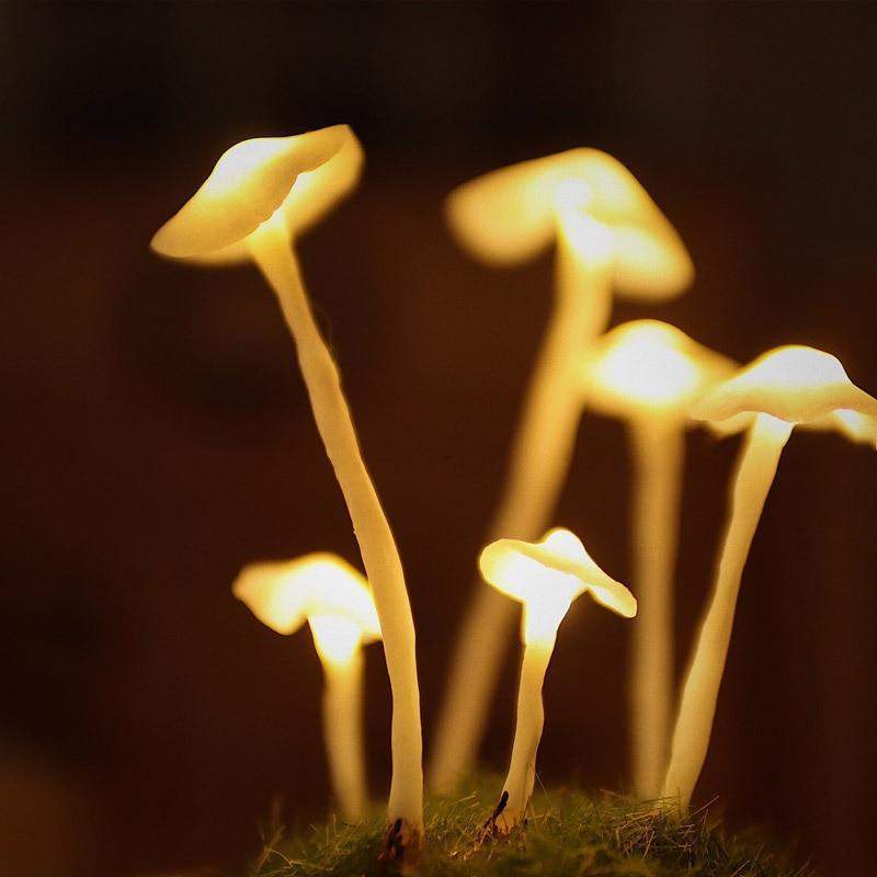 Charmante DIY paddestoel in glasdecoratie voor creatieve interieurs | MushGlow